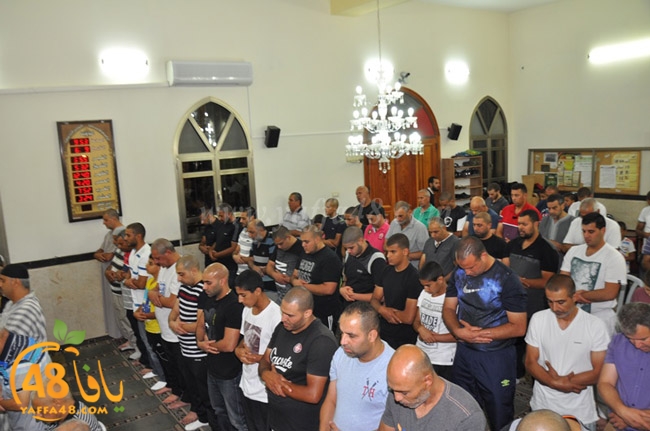 traw7 jabalayaua (18).JPG